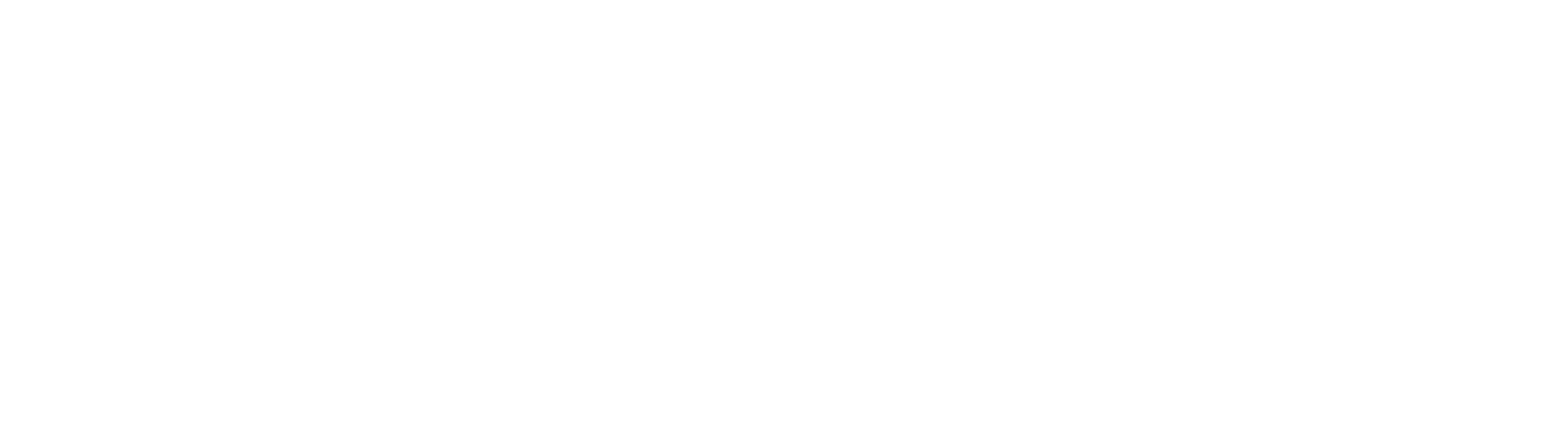 Lsmuniservice Logo